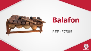 Balafon  instrument [upl. by Nodnol]