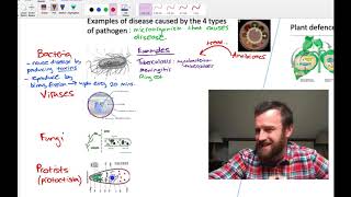 Pathogens and Immunity OCR A Level Biology 41 [upl. by Smith996]