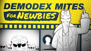 Demodex Mites for Newbies [upl. by Hassett634]