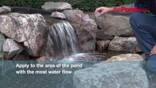 The Pond Guy® Barley Extract [upl. by Pandolfi]