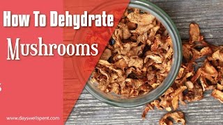 How to Dehydrate Mushrooms [upl. by Pantin]