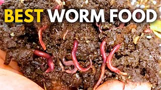 What to Feed Worms Vermicompost Made EASY [upl. by Woods]