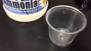 How to make exploding NITROGEN TRIIODIDE NI3 [upl. by Yneffit731]