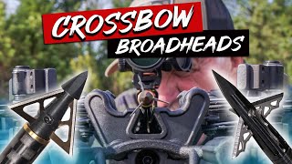 SWHACKER RAZOR 252 Fixed Blade Broadhead Test [upl. by Binnie]