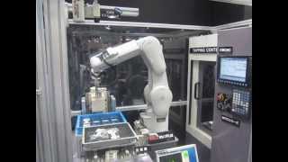 Mitsubishi Electric F Series Robot Machine Tending [upl. by Duquette]