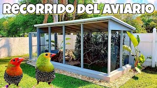 Aviario de Pajaros  Aves Exoticas   Voladero Natural [upl. by Cattan]