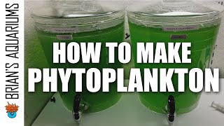 How to make Phytoplankton [upl. by Ellicott]