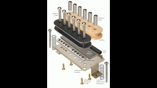 The Differences Between Alnico Guitar Pickups [upl. by Salohcim]