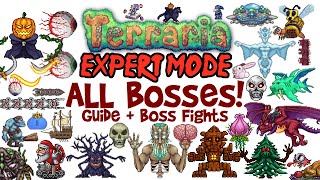 Terraria All Bosses In Order Expert Mode Guide amp Fights Easiest to Hardest How to Spawn Them [upl. by Stimson672]