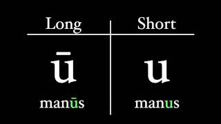 The Latin Alphabet  Vowel Pronunciation [upl. by Airat]