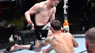 Every Flying Knee Finish in UFC History [upl. by Nefen794]