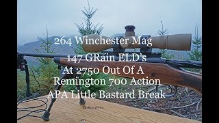 Shooting 264 Win Mag APA Little Bastard Brake [upl. by Starla2]