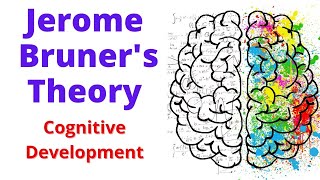 BRUNER Theory Of Cognitive Development  cognitive development theory by bruner [upl. by Etram]