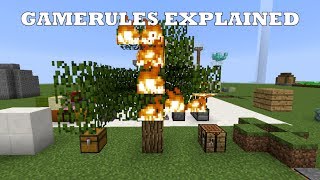 Minecraft Gamerules EXPLAINED [upl. by Nedla]