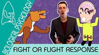 Fight or Flight  Biological Psychology AQA ALevel [upl. by Sylvanus]