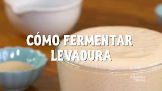 CÓMO FERMENTAR LEVADURA [upl. by Quiteria]