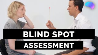 Blind Spot Assessment  OSCE Guide  UKMLA  CPSA  PLAB 2 [upl. by Lyrehc]