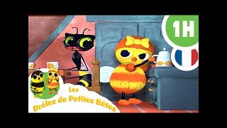 DRÔLES DE PETITES BÊTES  1 Heure  Compilation 03 [upl. by Hendrika452]