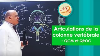 Articulations de la Colonne Vertébrale QCM et QROC [upl. by Crandale]