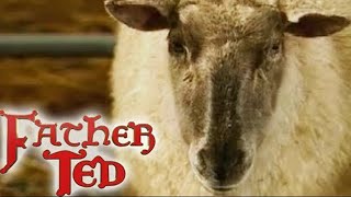 Chirpy Burpy Cheap Sheep  Father Ted  Season 3 Episode 2  Full Episode [upl. by Lesoj]