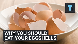 Why You Might Want To Start Eating Eggshells [upl. by Esiuol]