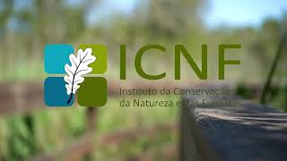 Introdução ICNF [upl. by Norit]