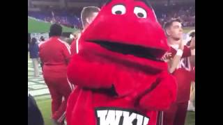 WKU Mascot Big Red Celebrates Miami Beach Bowl Win [upl. by Wilber]