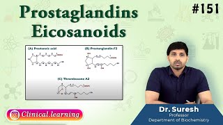 151 Prostaglandins Eicosanoids [upl. by Kaila]