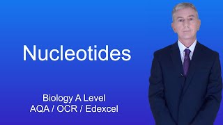 A Level Biology Revision quotNucleotidesquot [upl. by Norrej]