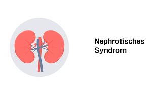 Nephrotisches Syndrom  Erkrankungen der Niere [upl. by Noyad]