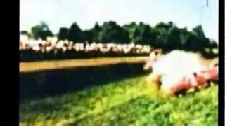 Wolfgang Von Trips Monza 1961 Rare Color Footage Shot By Injured Spectator [upl. by Drofnas]