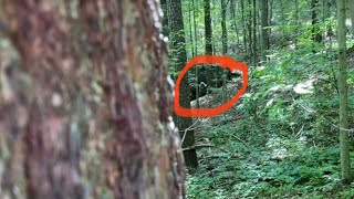 A Neighbor Asked Me To Have Our Viewers Review This Footage Taken In The Woods On Our Property Line [upl. by Gaudette]