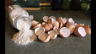 Health Benefits of Egg Shells [upl. by Matthaus]