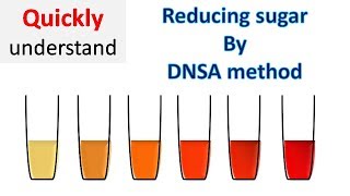 Reducing sugar by DNS method  3 5 Dinitrosalicylic acid DNSA method [upl. by Ybsorc]