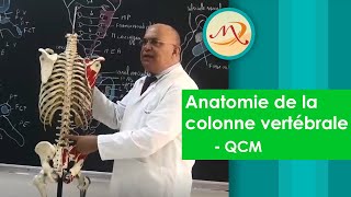 Anatomie de la colonne vertébrale QCM [upl. by Giliane]