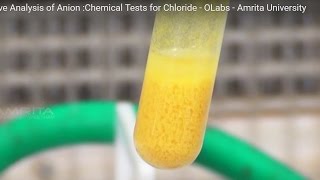 Chemical Tests for Chloride  MeitY OLabs [upl. by Mosra]