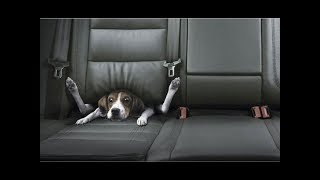 Best Car Commercials Ever  Greatest Car Ads All Time  The Used Car Guy [upl. by Donnie455]