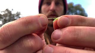 How to Identify Chickweed vs Poison Lookalike [upl. by Herrle499]