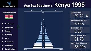 Kenya  Changing of Population Pyramid amp Demographics 19502100 [upl. by Aketahs]