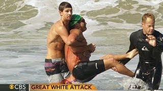 Great white shark attack California swimmer survives bite [upl. by Arotahs]