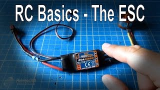 RC Basics  Understanding Electronic Speed Controllers ESC [upl. by Esenaj340]