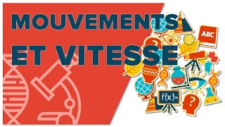 Mouvements Et Vitesse  4e  Physique  Mathrix [upl. by Alcine]