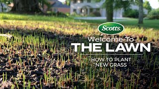 Welcome To The Lawn How to Plant New Grass [upl. by Anaeli794]