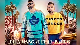 Tinted Windows FULL VIDEO Elly Mangat Feat Paul G I Latest Punjabi Song 2018 [upl. by Cecilius304]