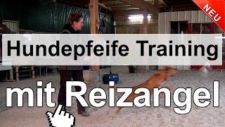 Hundetraining  Hundepfeife Training mit Reizangel [upl. by Ttevy]