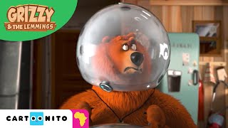 Grizzy and the Lemmings  Zorbing  Cartoonito Africa [upl. by Kele941]