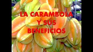 LA CARAMBOLA Y SUS BENEFICIOS [upl. by Peoples]