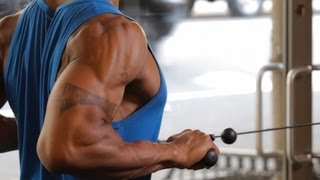 How to Do a Standing Row  Back Workout [upl. by Akiner]