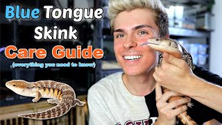 Blue Tongue Skink Care Guide EVERYTHING you need to know [upl. by Eixor32]