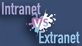 Intranet vs Extranet [upl. by Sissy549]